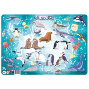 Puzzle ramkowe Antarctica