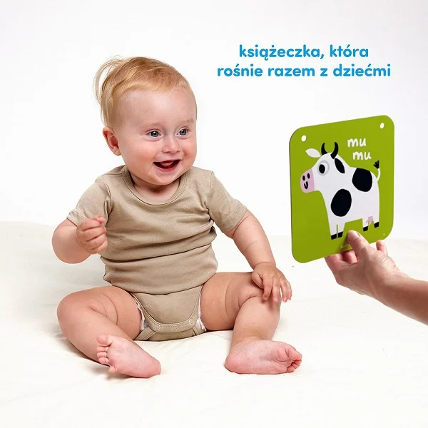 Duże karty kontrastowe dla dzieci w wieku 6 mies.+ 9 mies.+ - obrazek 4