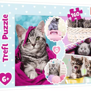 Puzzle 160 Urocze kotki 15371