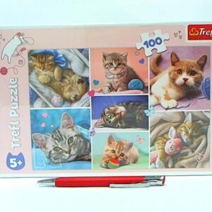 PUZZLE 100 W kocim świecie 16420