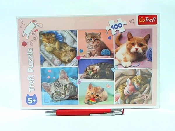 PUZZLE 100 W kocim świecie 16420