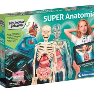 CLE Naukowa zabawa Super anatomia 50919