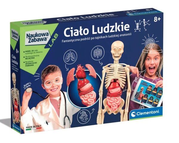 CLE Naukowa zabawa Ciało ludzkie 60249