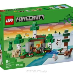 LEGO 21593 Przetrwanie pierwszej nocy